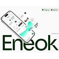 Eduardo Quílez. «Eneok»